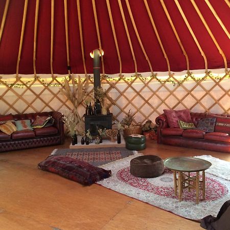 Silver Airstream Glamping & Rental Chichester Luaran gambar