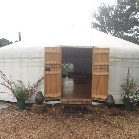 Silver Airstream Glamping & Rental Chichester Luaran gambar