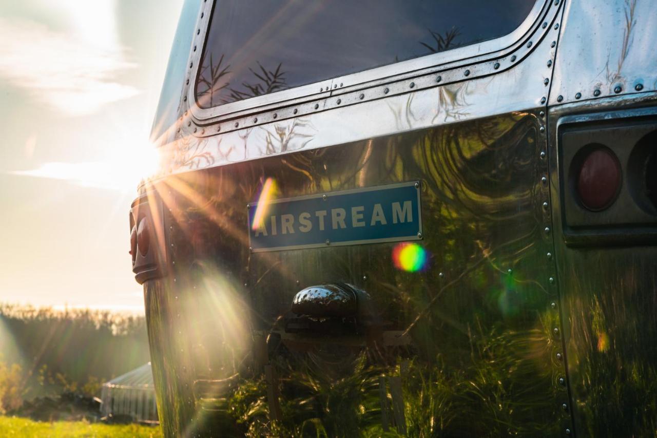 Silver Airstream Glamping & Rental Chichester Luaran gambar